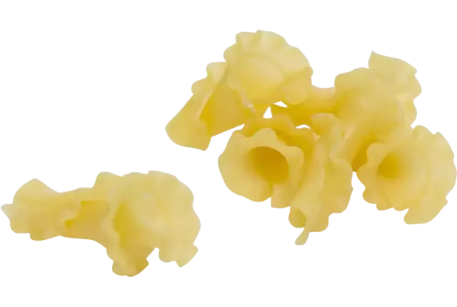 Pasta girolle 1kg